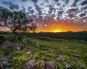 20150914 bdl Flinders Ranges-369 combined sunset
