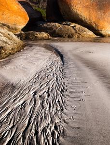 Section 2 - Image 2 - Beach Tracks