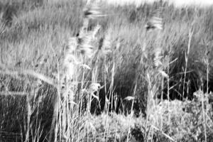 20180910 bdl Bairnsdale-Lakes Entrance-90